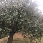 Alojamento de Turismo Rural Lavalleggia Tovo San Giacomo