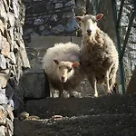 Alojamento de Turismo Rural Lavalleggia