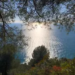Lavalleggia *