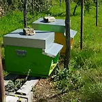 Alojamento de Turismo Rural Lavalleggia Tovo San Giacomo