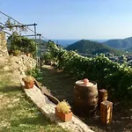 Lavalleggia