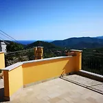 Lavalleggia *