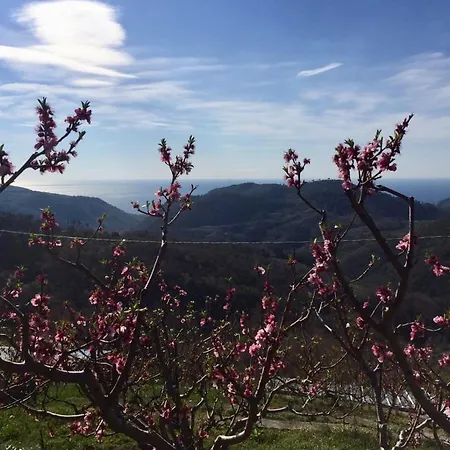 Lavalleggia * Tovo San Giacomo