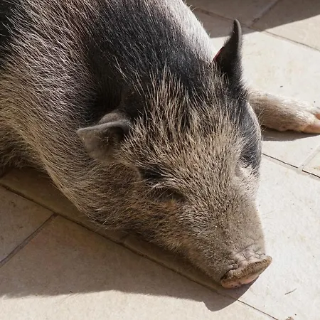 Alloggio per agriturismo Lavalleggia *
