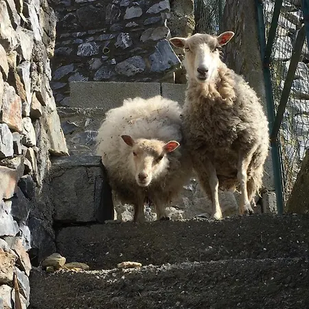Alojamento de Turismo Rural Lavalleggia