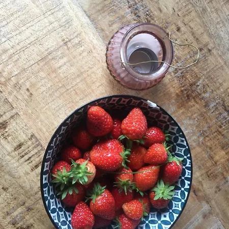 Alloggio per agriturismo Lavalleggia Tovo San Giacomo