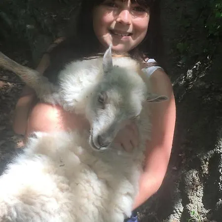 Alloggio per agriturismo Lavalleggia Tovo San Giacomo