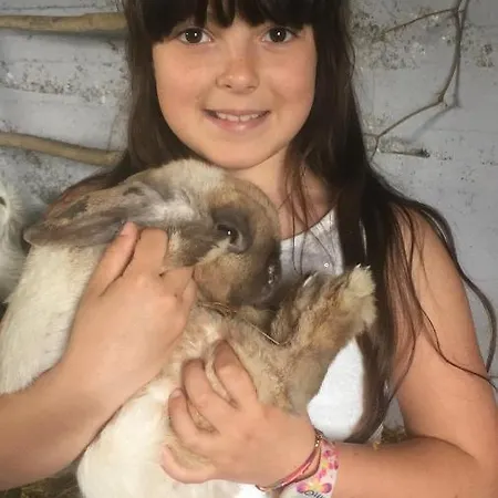 Lavalleggia Alloggio per agriturismo