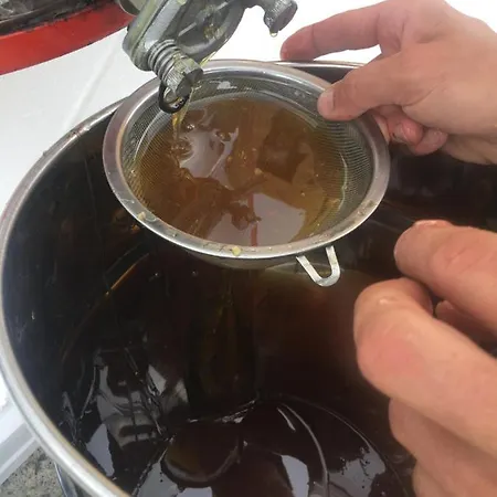 Lavalleggia Tovo San Giacomo