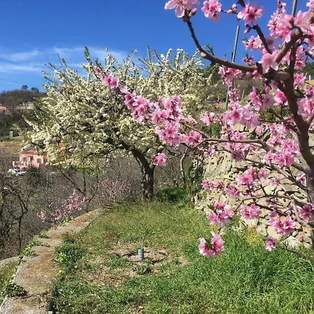 Lavalleggia Tovo San Giacomo