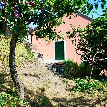 Lavalleggia