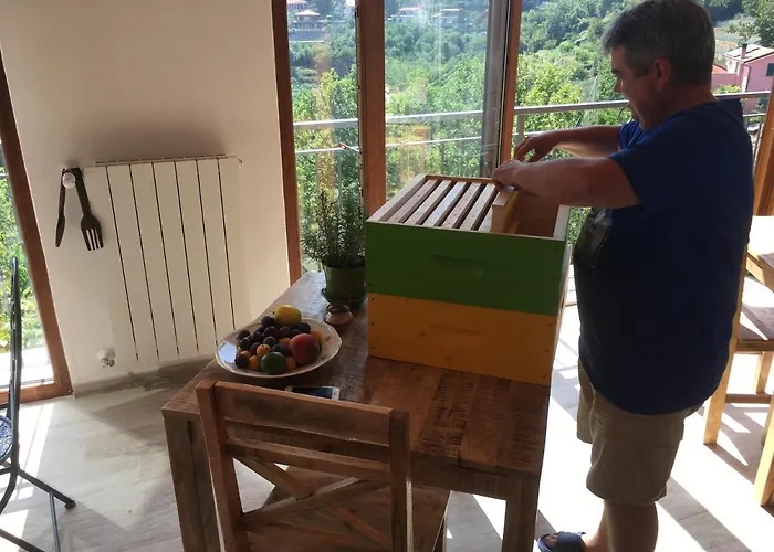 Фермерский дом Lavalleggia Tovo San Giacomo