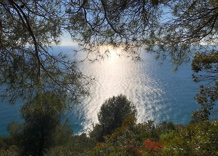 Lavalleggia *