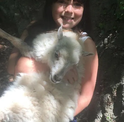 Agroturismo Lavalleggia Tovo San Giacomo