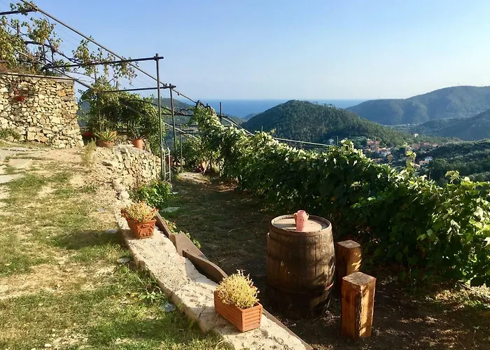 Lavalleggia