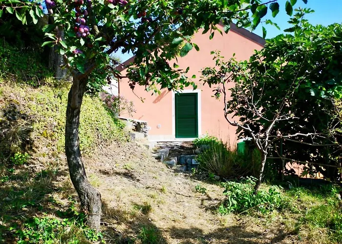 Lavalleggia