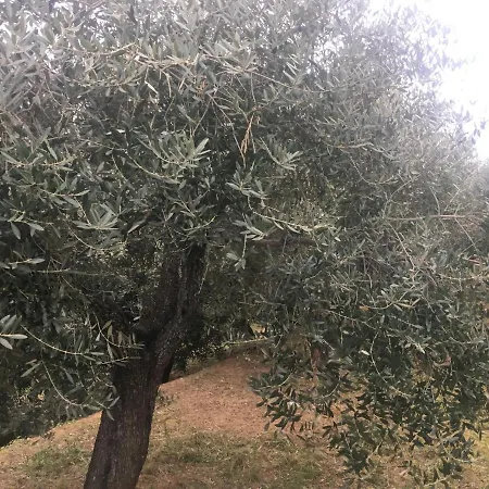 Vakantieboerderij Lavalleggia Tovo San Giacomo