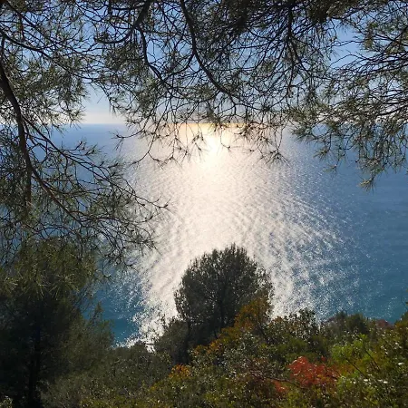 Lavalleggia *