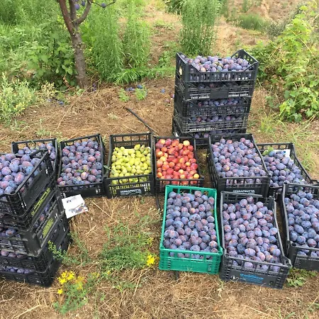 Lavalleggia Bauernhof