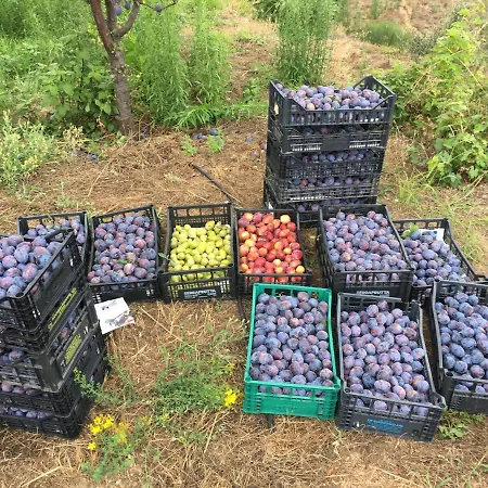 Lavalleggia Vakantieboerderij