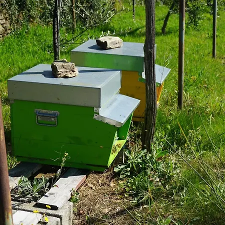 Farma Lavalleggia Tovo San Giacomo
