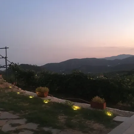 Lavalleggia *
