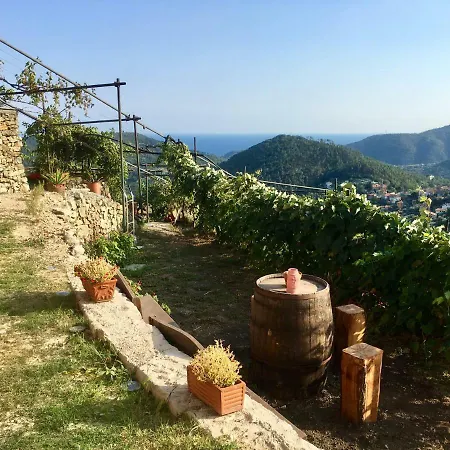 Lavalleggia