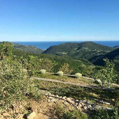 Lavalleggia