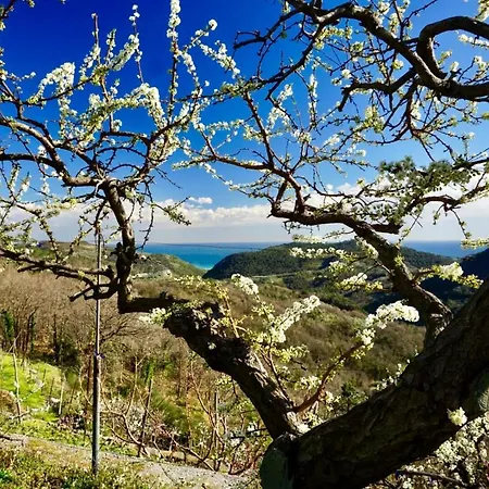 Lavalleggia Фермерский дом