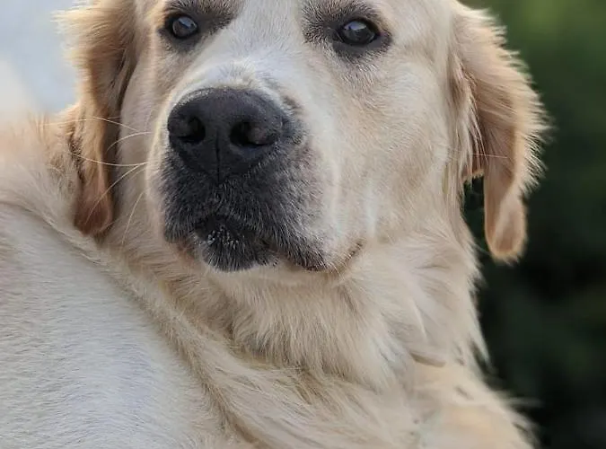 Lavalleggia Bauernhof