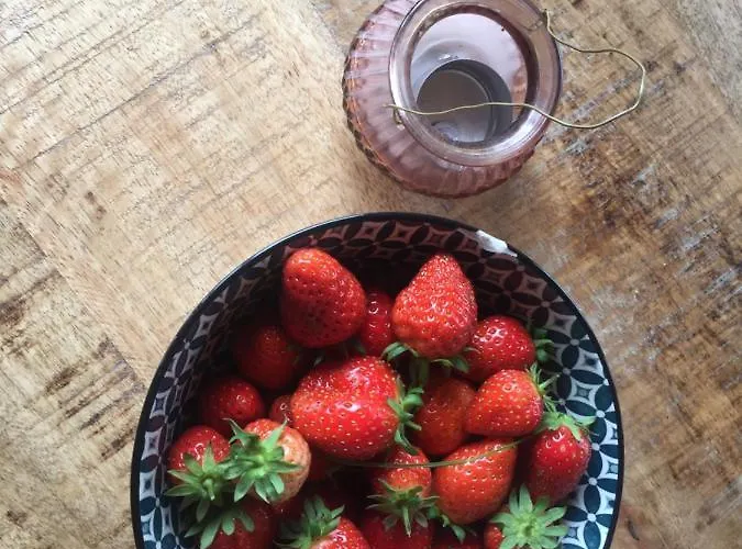 Bauernhof Lavalleggia Tovo San Giacomo