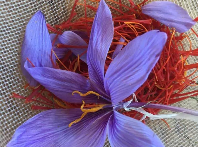 Lavalleggia Tovo San Giacomo