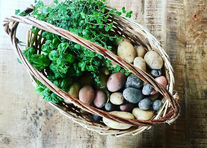 Lavalleggia Tovo San Giacomo