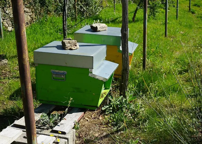 Bauernhof Lavalleggia Tovo San Giacomo