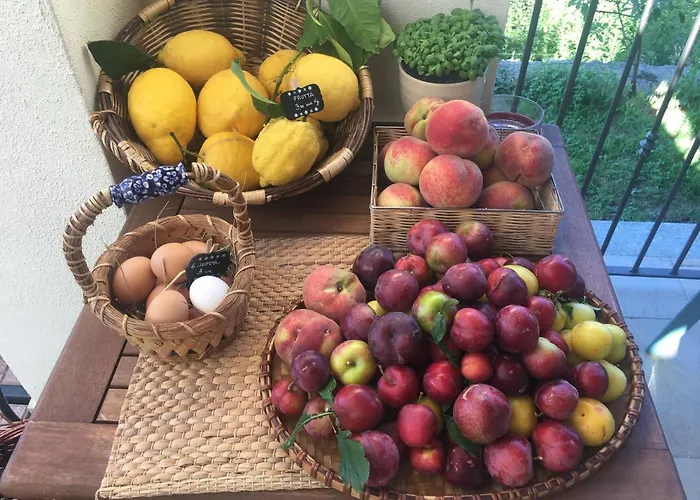 Bauernhof Lavalleggia Tovo San Giacomo