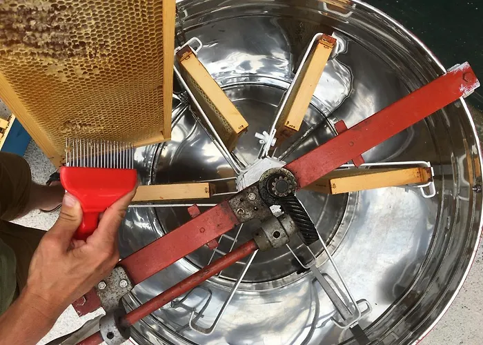 Lavalleggia Tovo San Giacomo