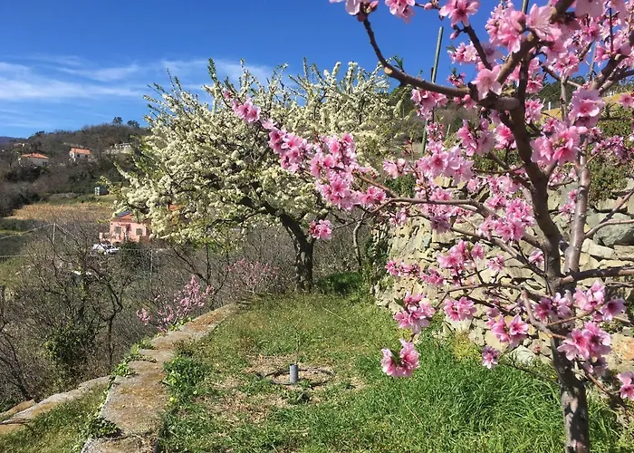 Lavalleggia Tovo San Giacomo