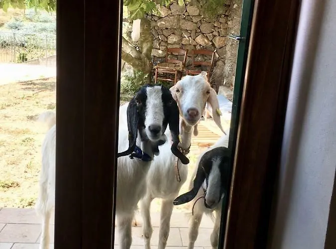 Bauernhof Lavalleggia