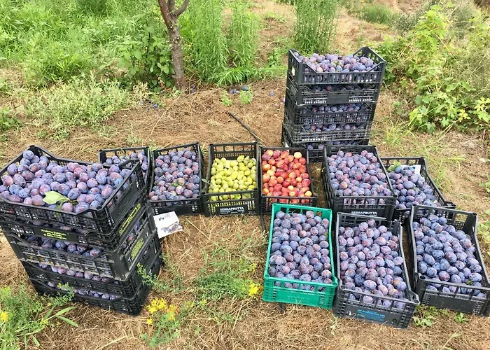 Lavalleggia Bauernhof *